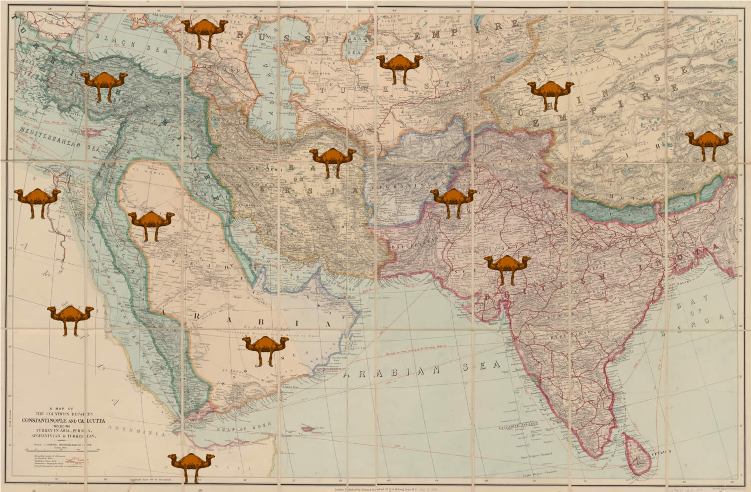 Palindromes and palindromedaries around the world, Middle East view